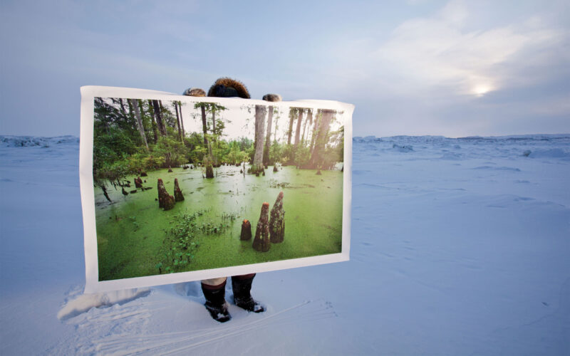 During the PETM the arctic looked like this type of swamp.
