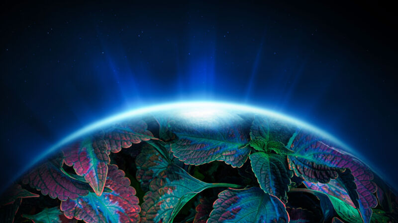 Fantasy image of part of a planet against space, rays of light radiating from a thin atmosphere. The planet surface is represented by colored leaves.