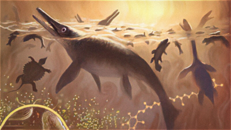 An ichthyosaur, turtles and fish rise to the surface and gasp for air that is toxic orange-brown